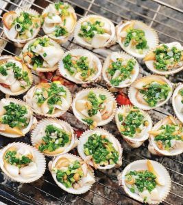 527898443 737276309062458 6681790208942510525 n